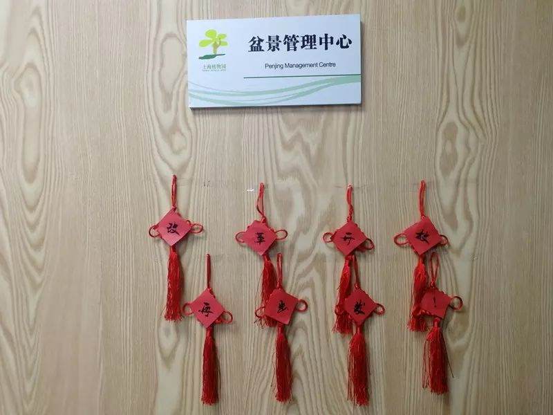 盆景园浓浓年味喜迎八方来客