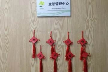 盆景园浓浓年味喜迎八方来客