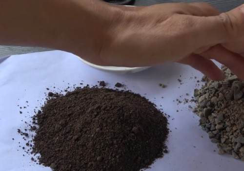 新买的茶花用不用换盆2