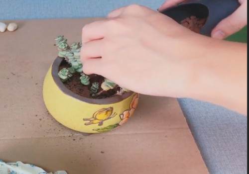 如何给钱串换盆7