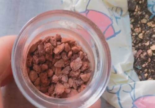 如何给钱串换盆2