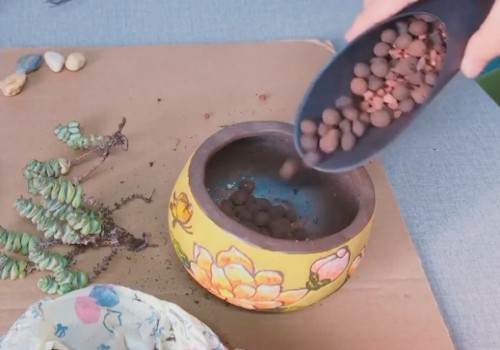 如何给钱串换盆4