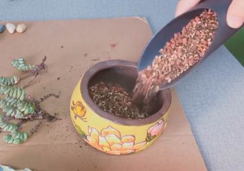 如何给钱串换盆5