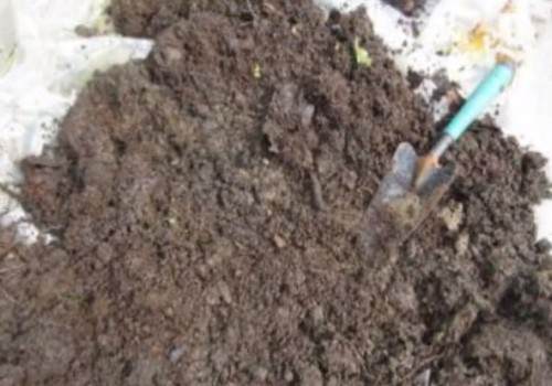 盆栽换盆后的旧盆旧土怎么处理2