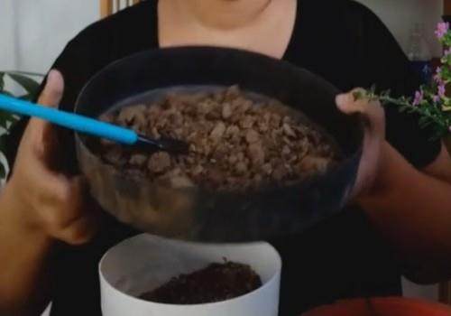 盆栽换盆后 处理旧土的3种方式