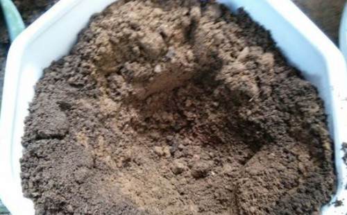 芦荟什么时候可以换盆 怎么换盆(图解)4