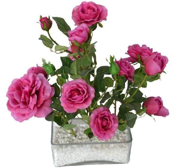 盆栽玫瑰的换盆时机与方法