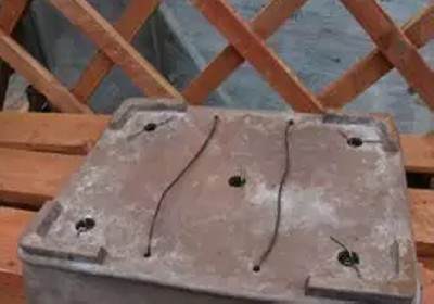 枫树盆景换盆方法图解5