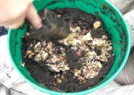 花卉植物怎样换盆才能更快恢复4