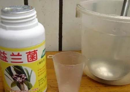 盆栽兰花换盆方法/操作步骤图文教程1