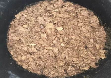 月季怎么换盆的方法7