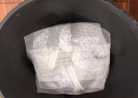 月季怎么换盆的方法6