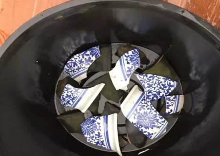 月季怎么换盆的方法5