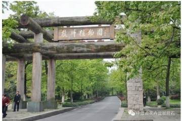 关于举办首届中国女盆景师作品展览的通知