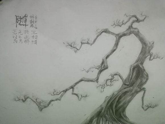 雀梅下山桩怎么养活