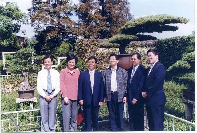 春节赏盆景之《苍松迎客》