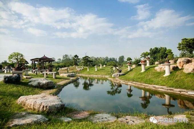  走进中盆协副会长吴吉成的盆景世界