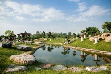 走进中盆协副会长吴吉成的盆景世界