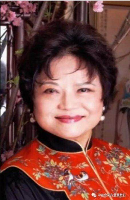 台湾紫园盆景文物艺术馆馆长 梁悦美