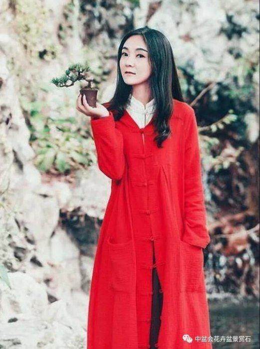 扬派盆景第六代传承人 -- 丁昕