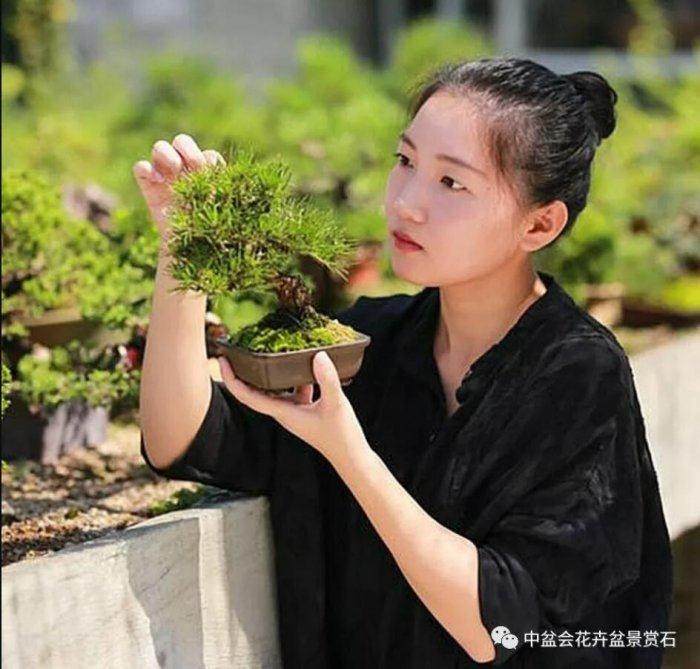 杭州万松草堂盆景基地老板  于米