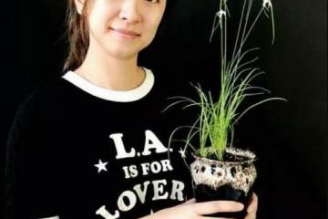 郑州国际园博会盆景展中盆景作品获金奖