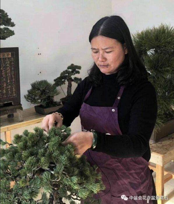 中国风景园林学会花卉盆景分会理事 吕兴红