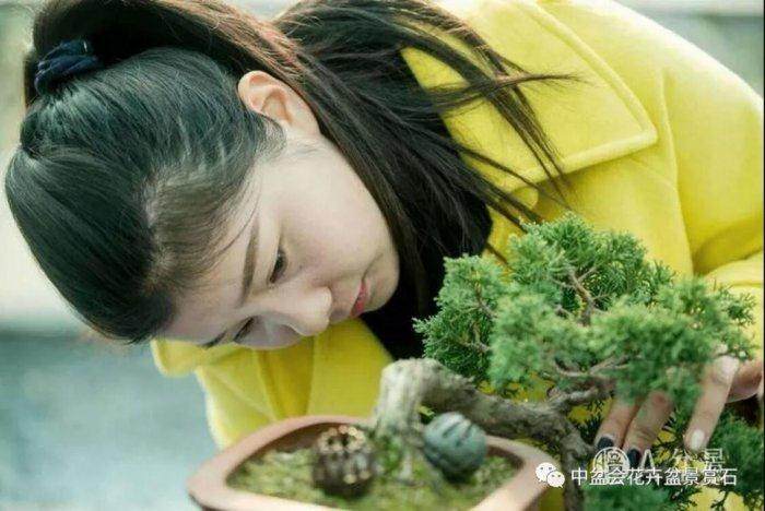 江苏省溧阳盆景协会副会长 -- 虞露露