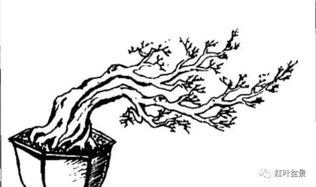 临水式盆景造型6种方法