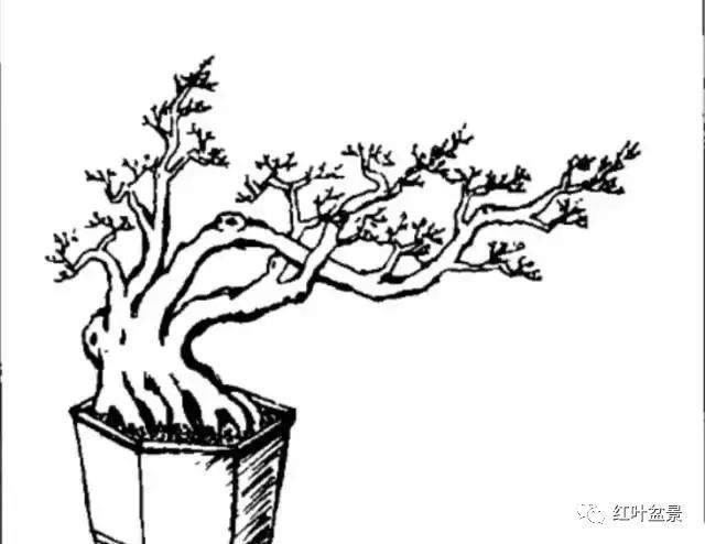 临水式盆景造型6种方法