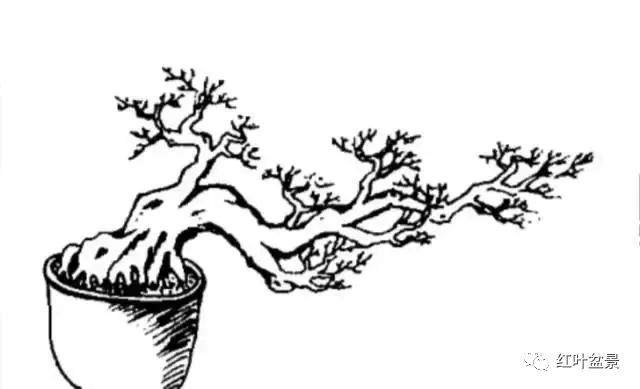临水式盆景造型6种方法