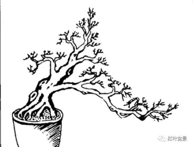 临水式盆景造型6种方法