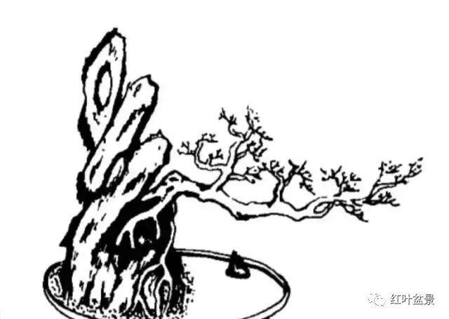 临水式盆景造型6种方法