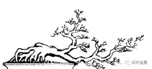 临水式盆景造型6种方法