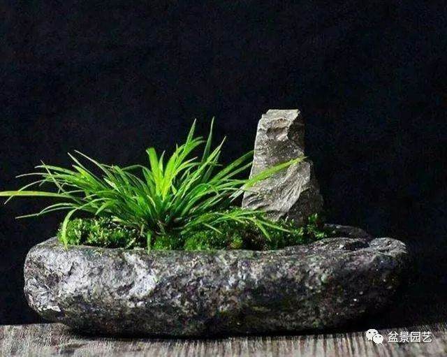 制作石头盆景的3个步骤