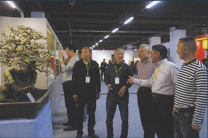 2018年第十二届南宁国际盆景博览会即将开幕