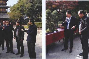 常熟市盆景协会在方塔公园举办2018盆景展