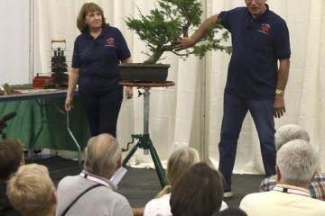 2018年 第6届 美国国家盆景展览回顾