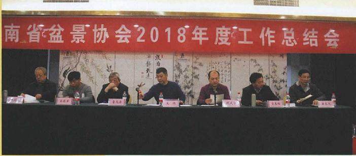 河南盆景协会2018年度总结会