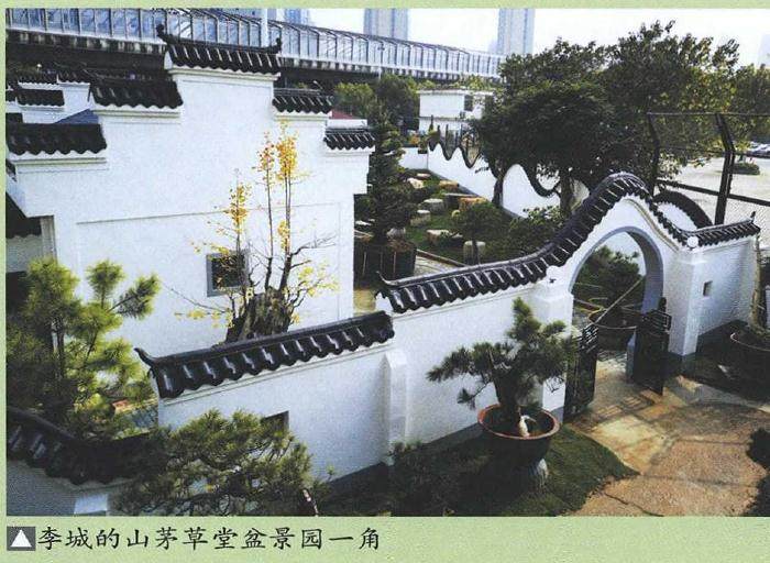 2018年 湖北花协盆景现场制作等交流活动