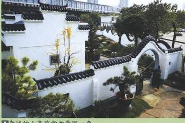 2018年 湖北花协盆景现场制作等交流活动