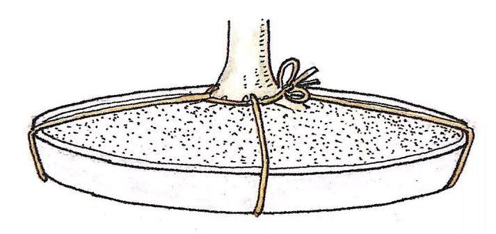 图解 盆景怎么换盆移植的13个步骤