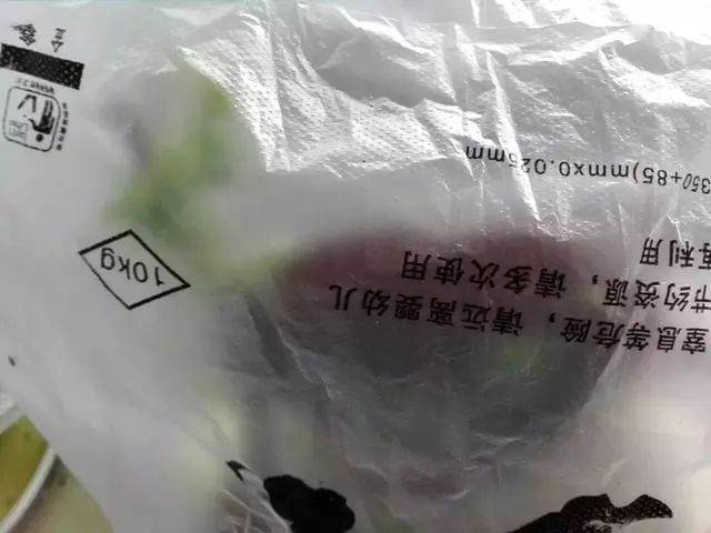 栽培金弹子下山桩的4个步骤