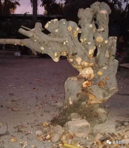 榕树下山桩的挖凿创作过程