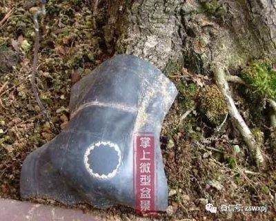 图解 山楂下山桩制作成盆景的23个过程