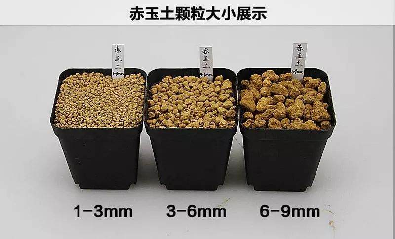 如何用混合基质的土壤来养下山桩?