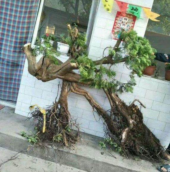 如何购买下山桩 才能避免上当受骗？