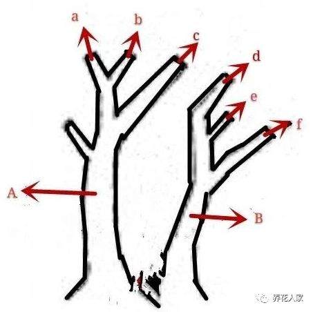 到手下山桩 你需要掌握的一些杀桩技巧!