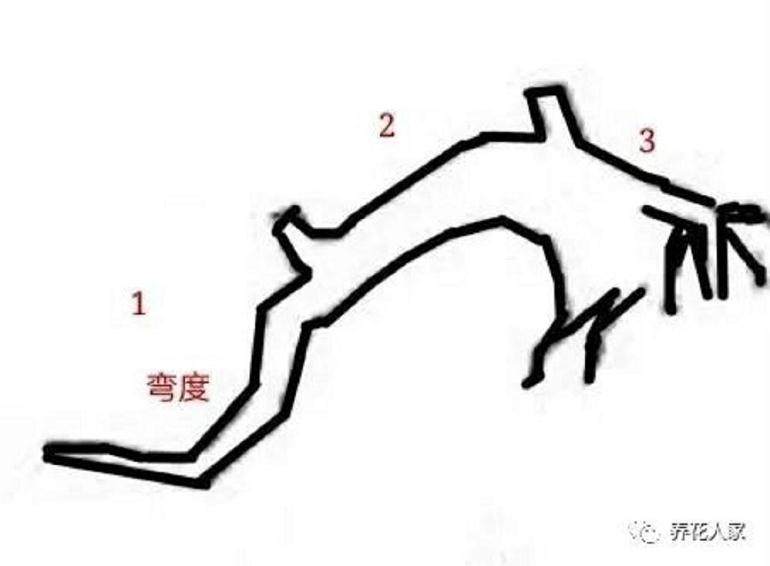 到手下山桩 你需要掌握的一些杀桩技巧!