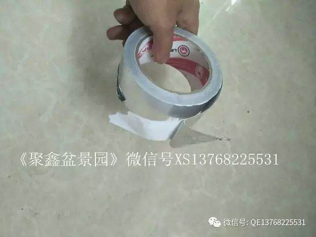 罗汉松下山桩的种植和靠接方法
